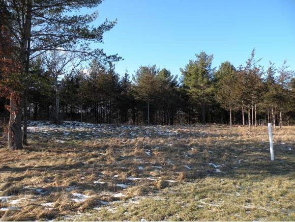Lot #26 Sycamore Street