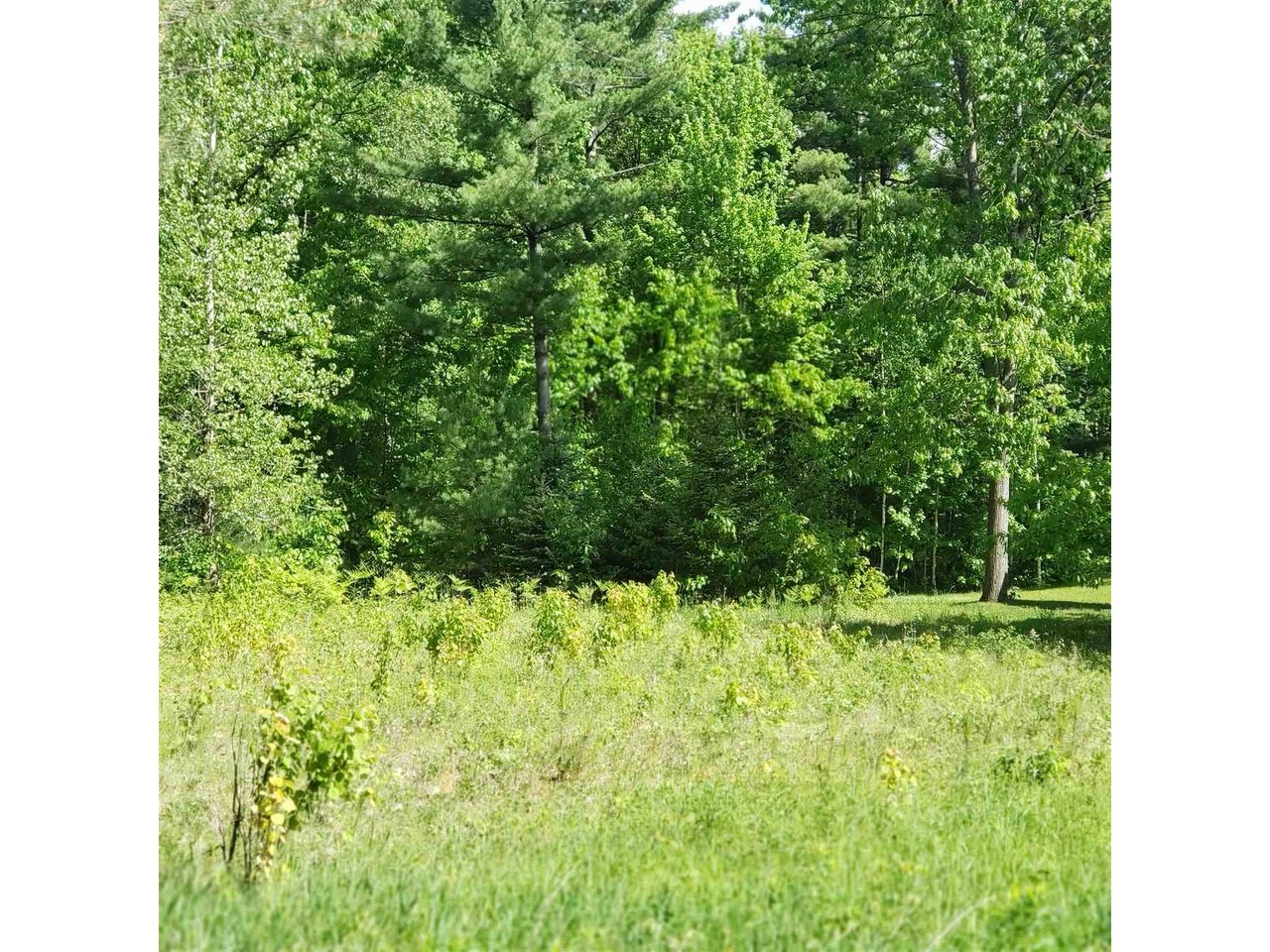 Lot 28 Cherry Lane Newport City, Vermont Sold in 2021