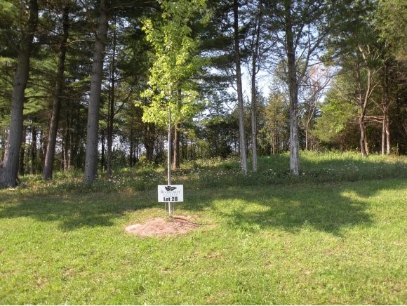 Lot #28 Sycamore Street