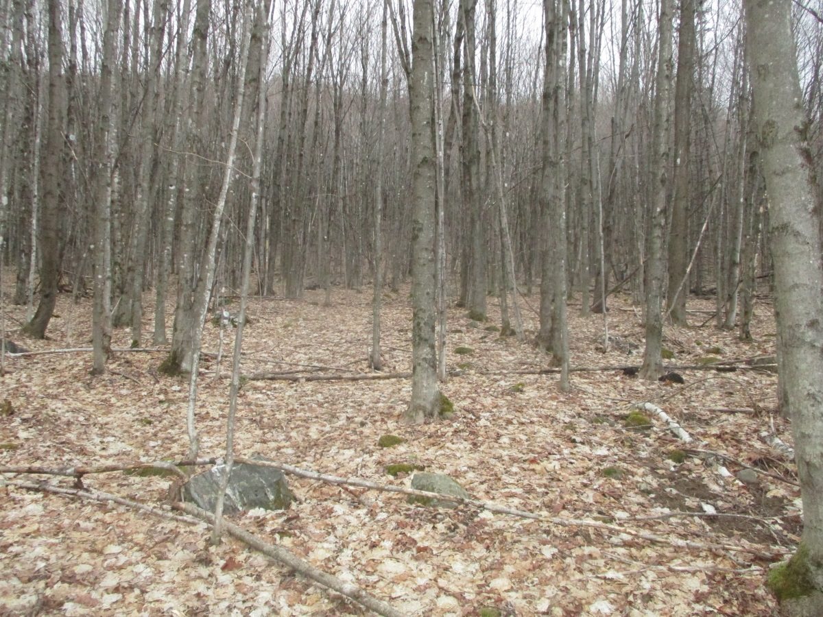 Lot 2/AKA 6 Levesque Road
