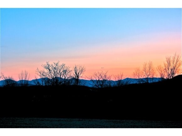 Lot # 3 3840 Spear Street