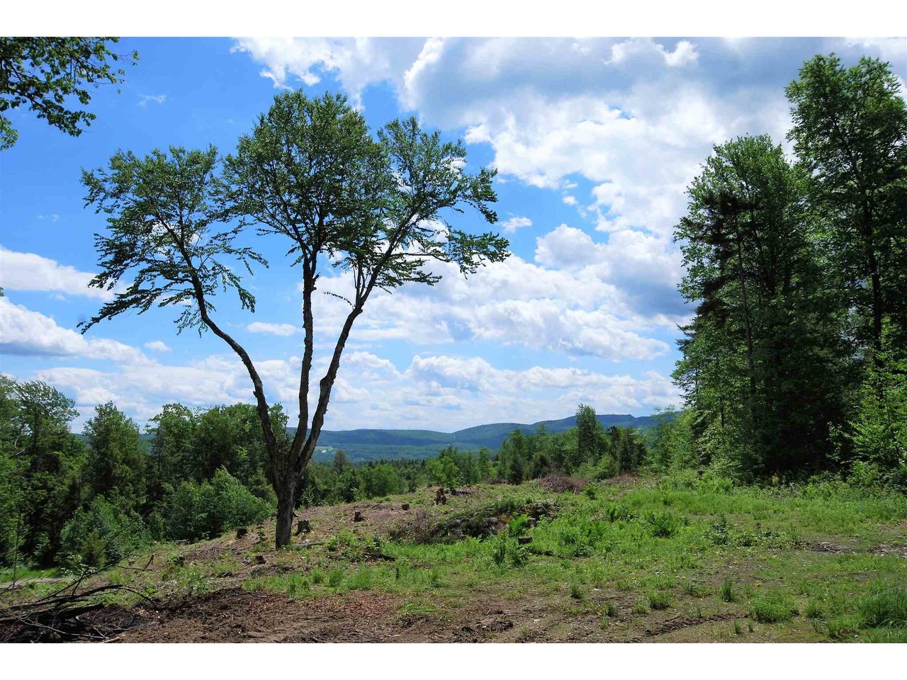 Lot 3 Berno Road