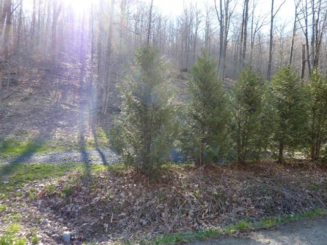lot 3 Boro Hill Road