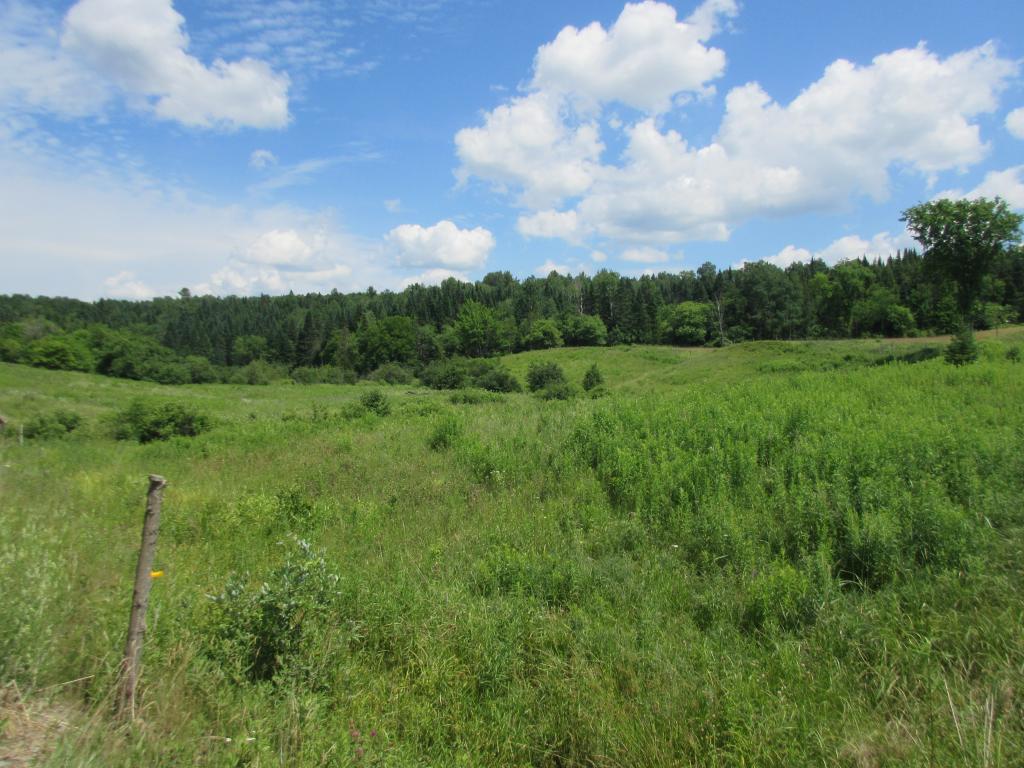 Lot 3 Buzzell Road