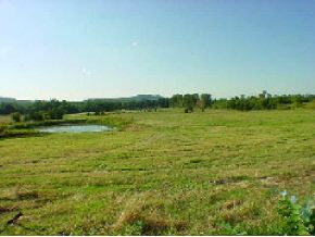 LOT 3 Elcy Ln