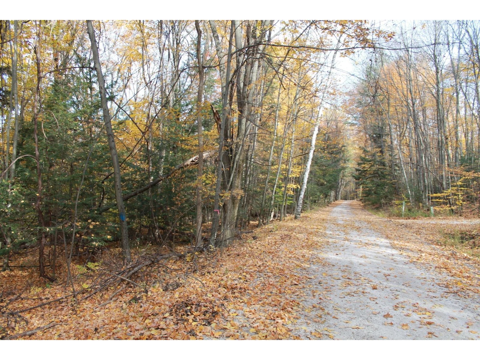 Lot 3 Enos Road