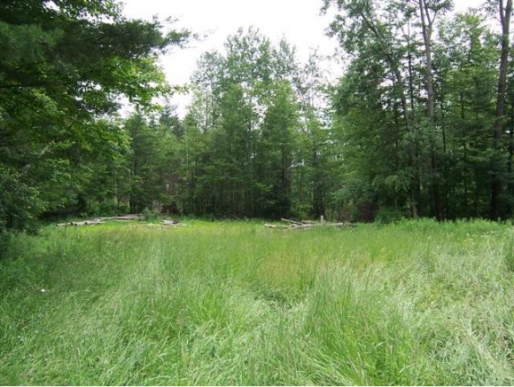 Lot 3 Giovanna Ln