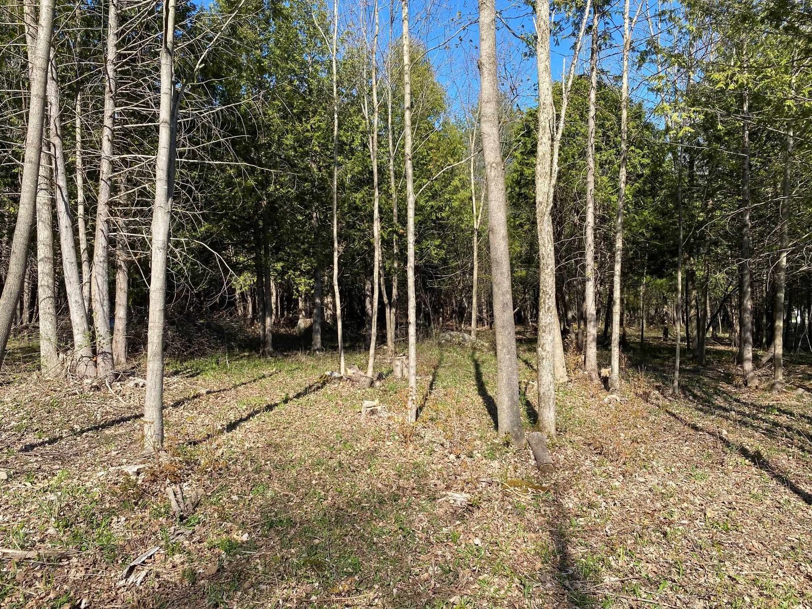 Lot 3 Goldsbury Woods Road, Barre Town Lot 3 Goldsbury Woods Road, Barre Town