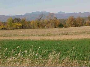 Lot 3 Hallock Rd