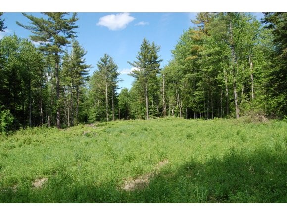 Lot 3 Laird Pond Road