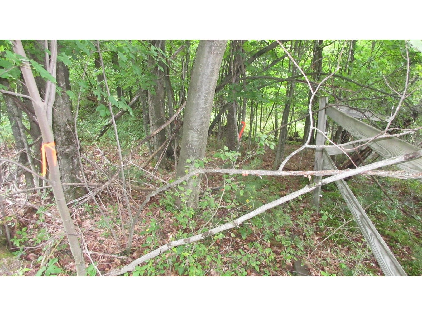 Lot 3 Lapland Extended Road