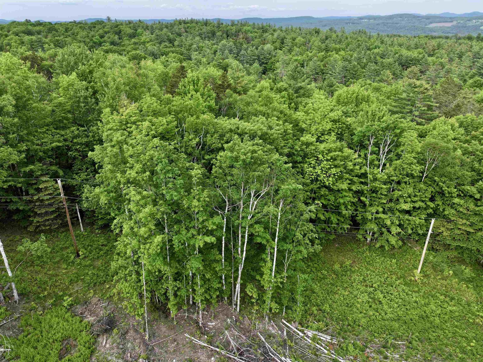 Power poles on Lot 3