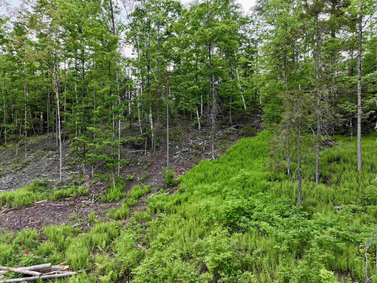 Lot 3 Lightening Ridge Road
