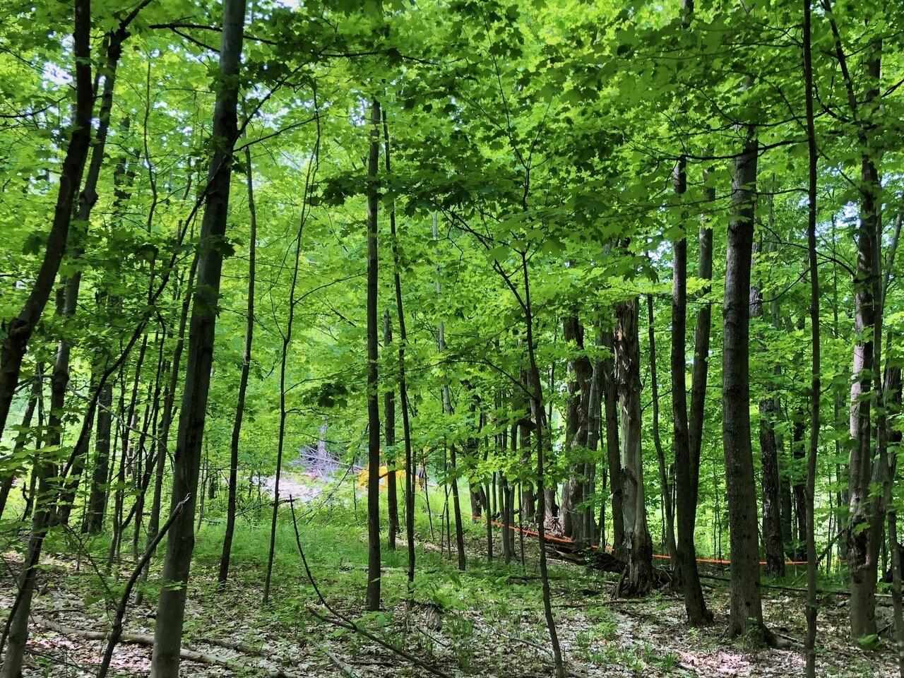 Lot 3 Mason Hill North