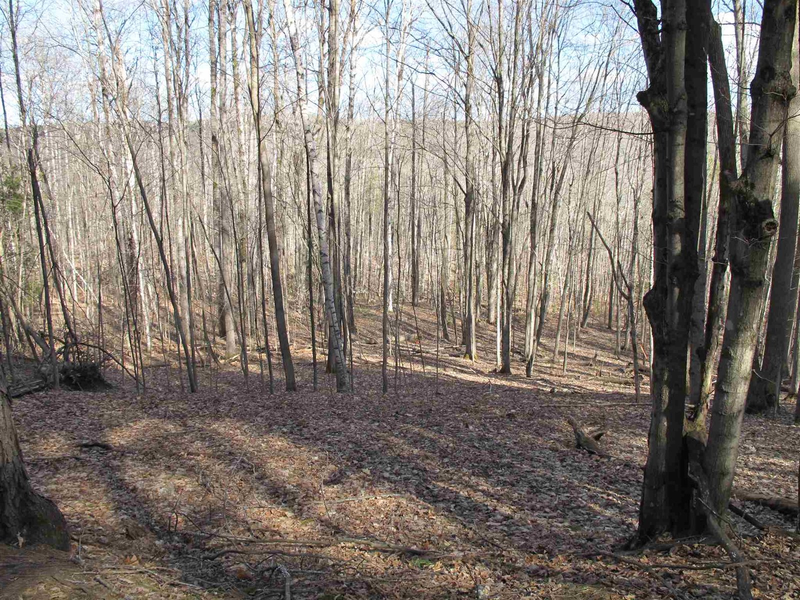 Lot 3 Mirror Lake Road