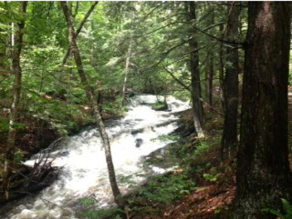 Lot #3 Off VT RT 14