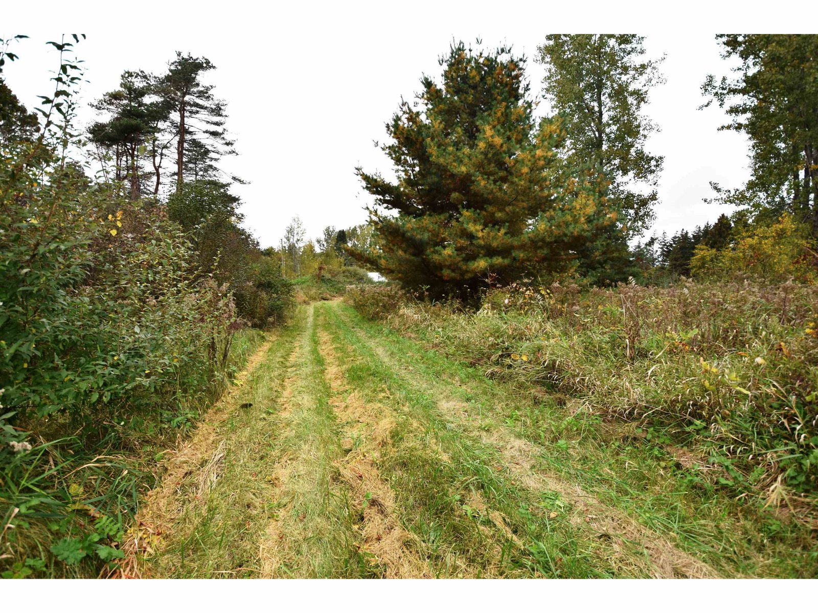 Lot 3 Old Farm Lane