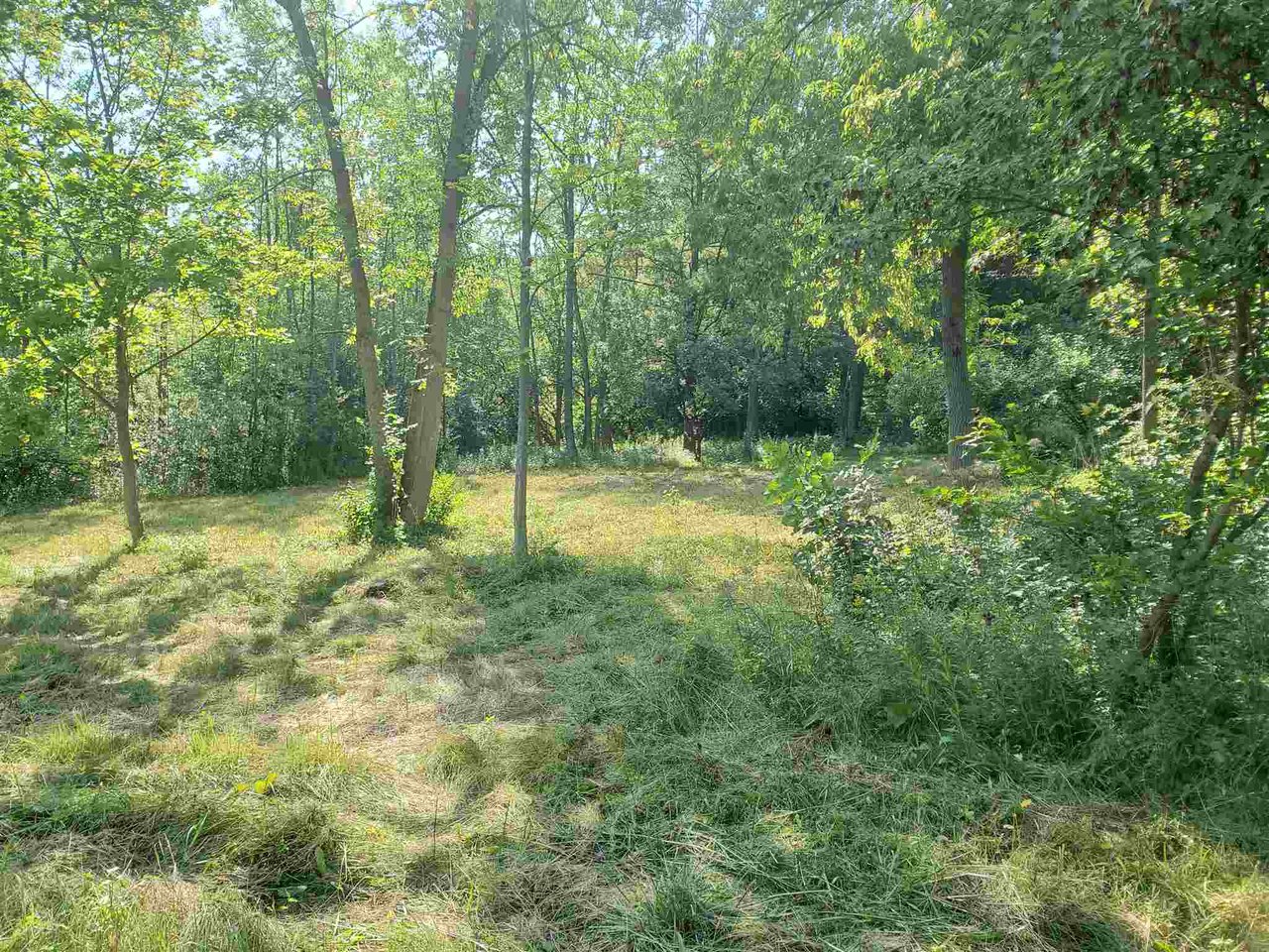 Lot 3 Oliver Howe Court