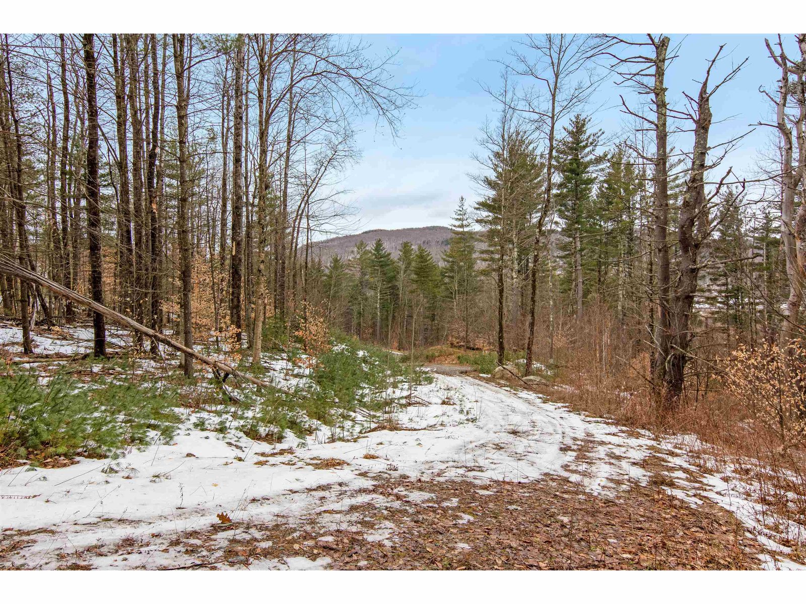 Lot 3 Piney Grove Lane