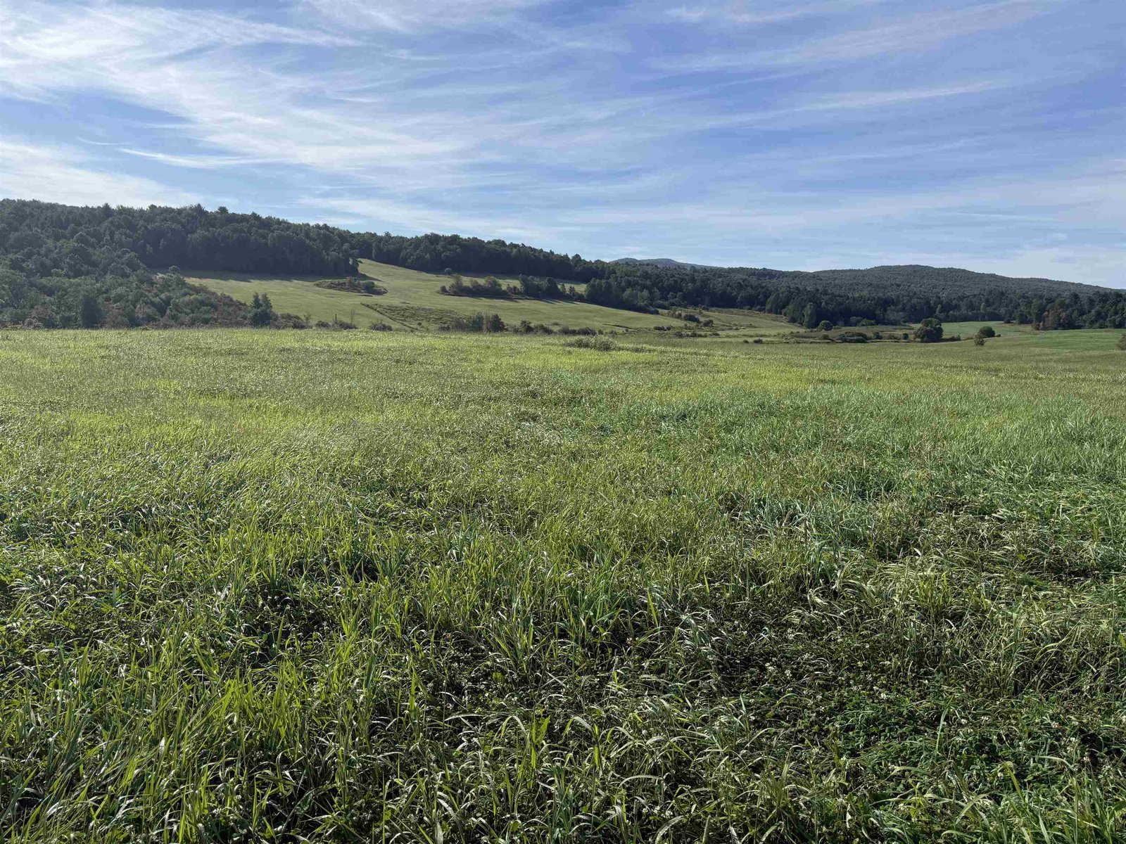View of Ridgeline