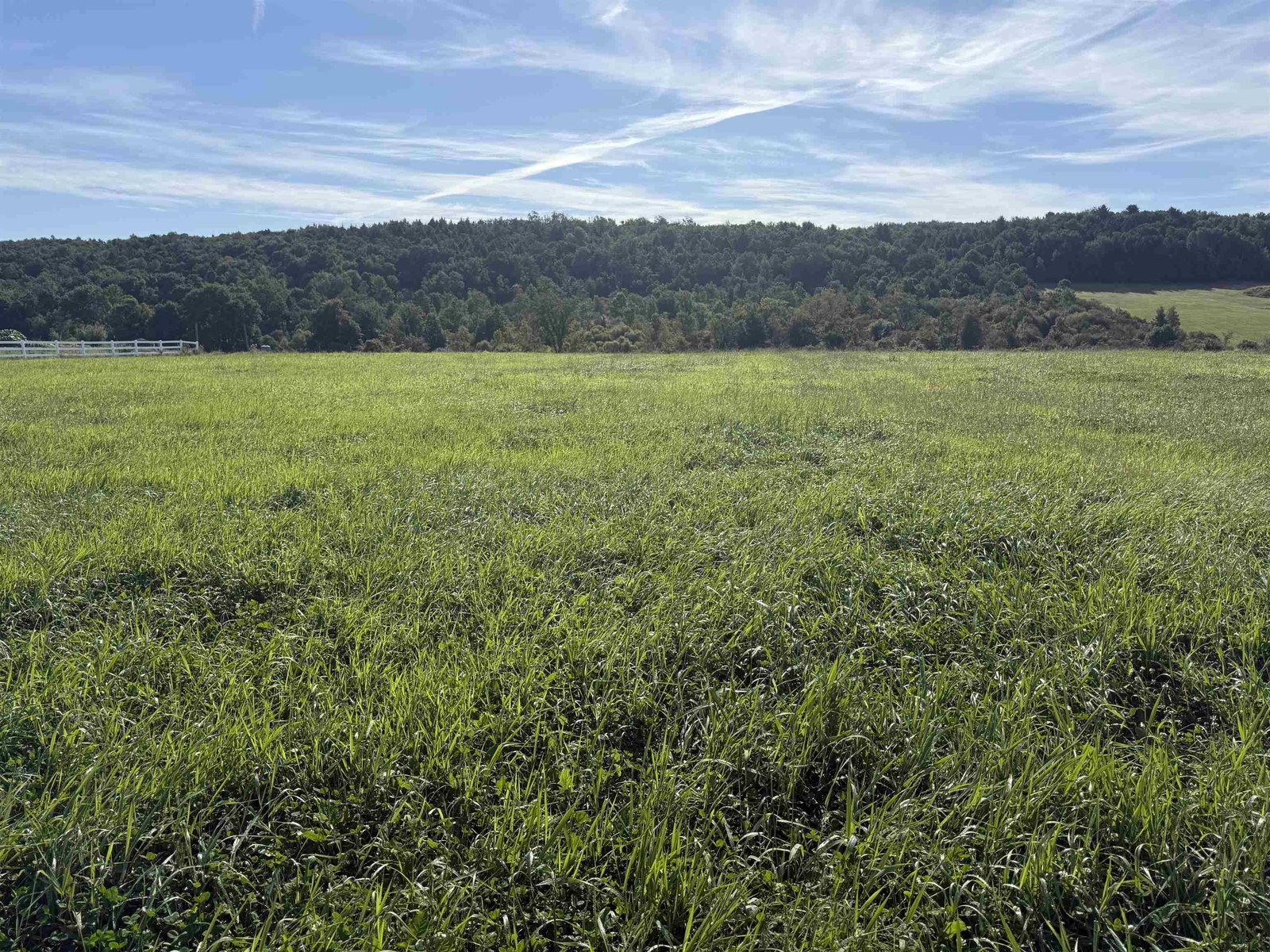 Lot 3 in distance near white fence.