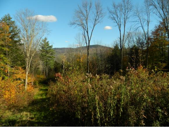Lot #3 Stony Farm Road