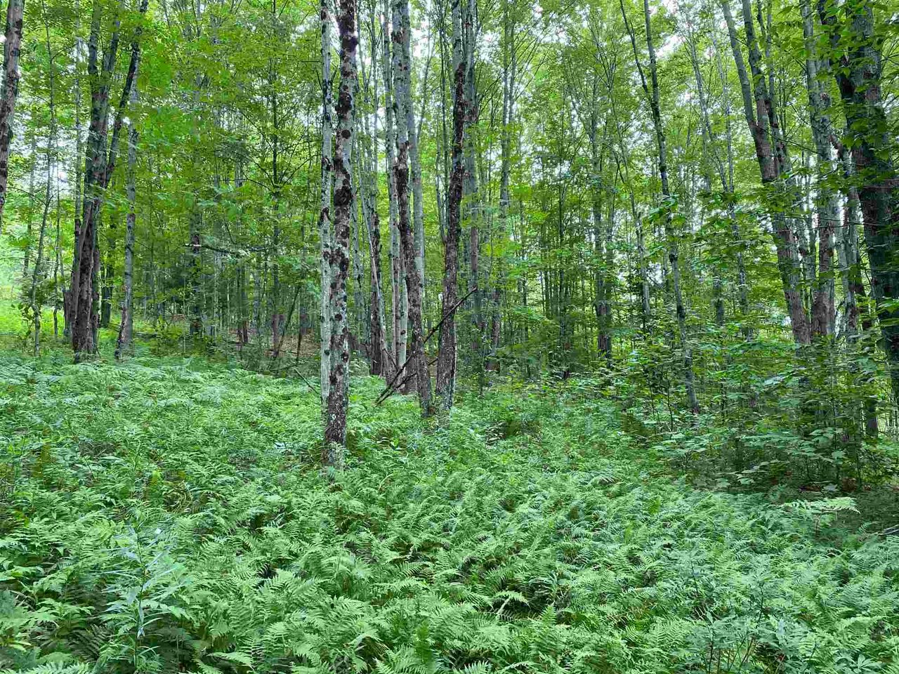 Lot 3 TAC Heights