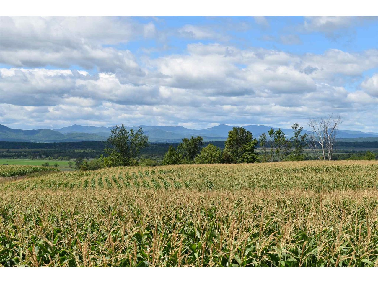 Lot 3 VT Route 22A