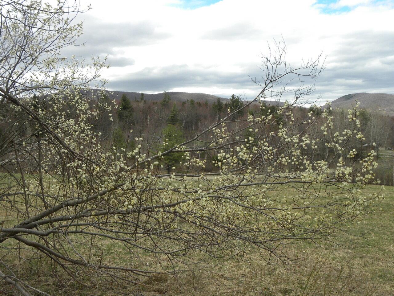 Lot 3 Weaver Road