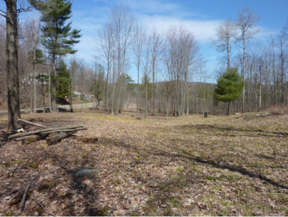 lot 3 Wedland and Boro Hill Roads