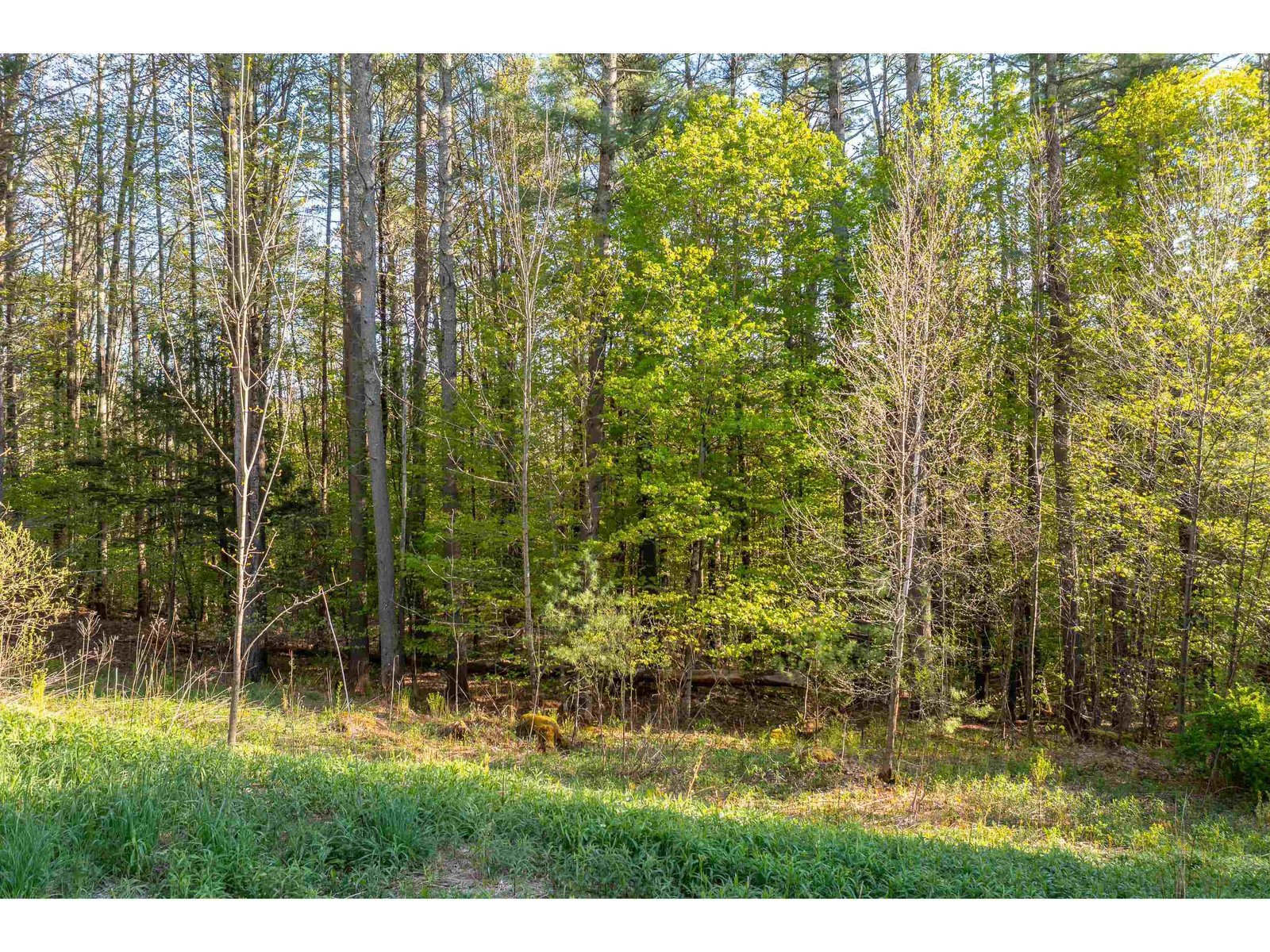 Lot 30 Cedar Drive