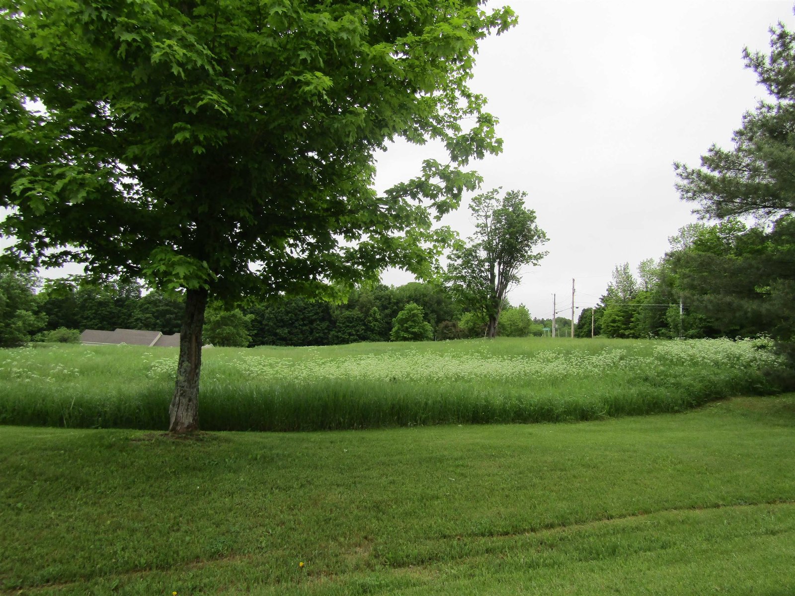 Lot 33 Windy Wood Road