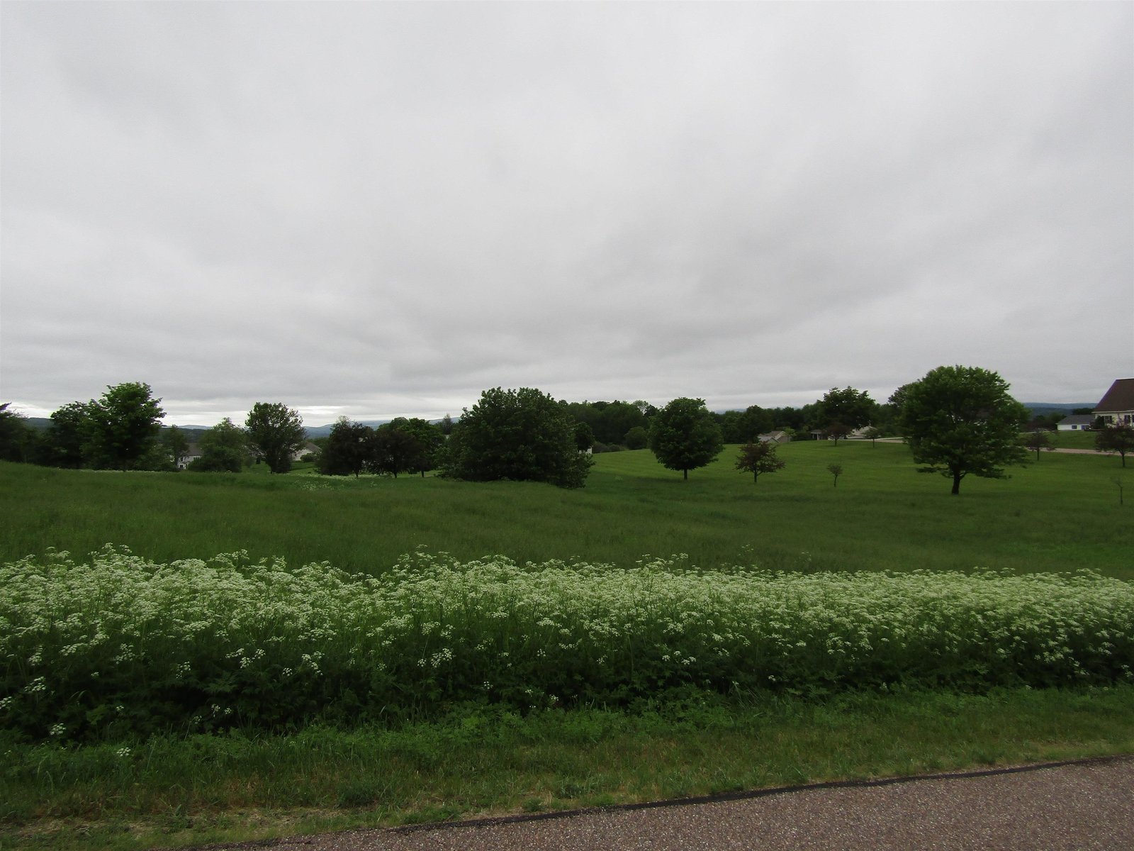 Lot 34 Countryside Drive