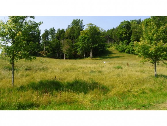 Lot 39 Marble Island Road
