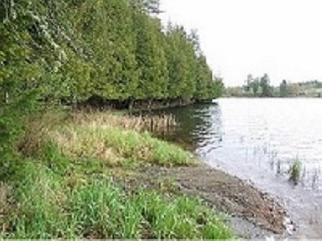 Lot 3A Coits Pond Road