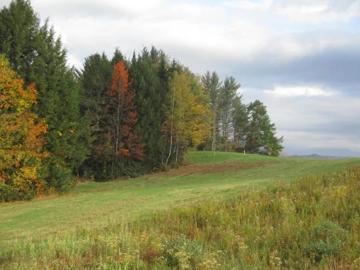 Lot 4 Beacon Hill