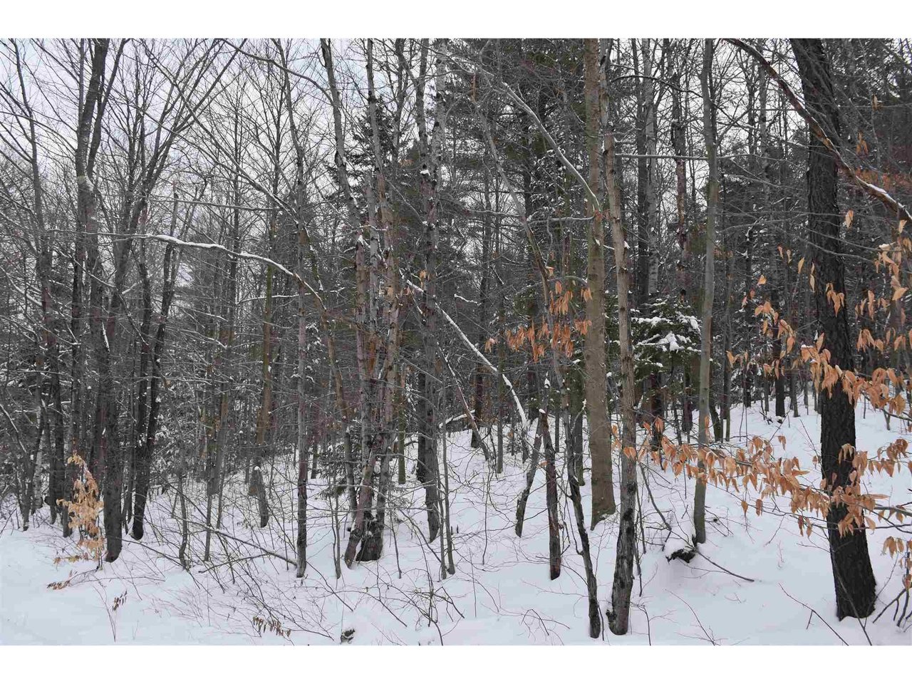 Lot 4 Bean Road
