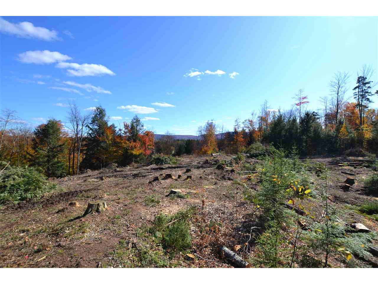 Lot 4 Berno Road