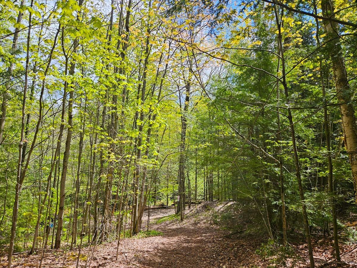 Lot 4 Berry Road