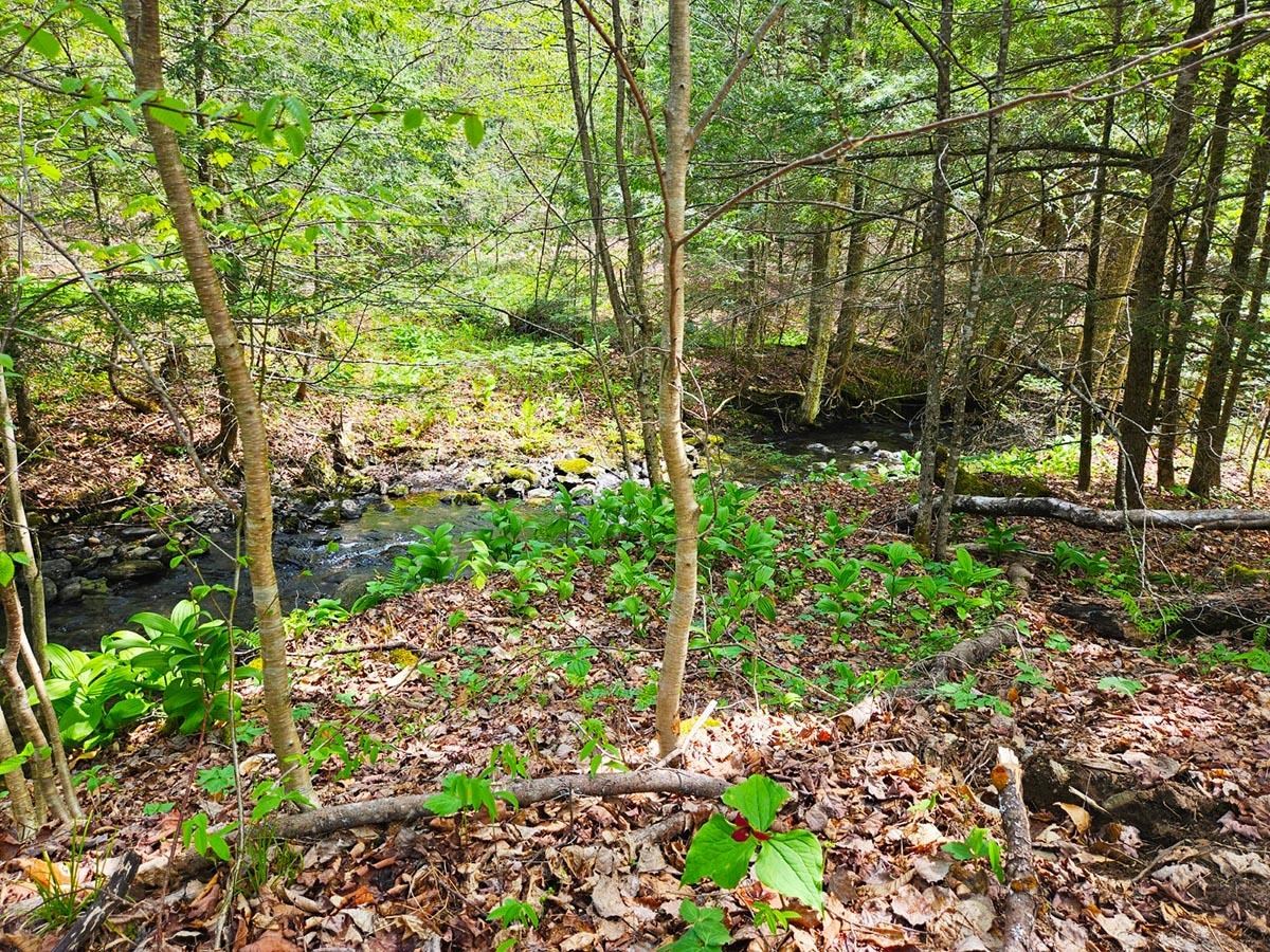 Lot 4 Berry Road