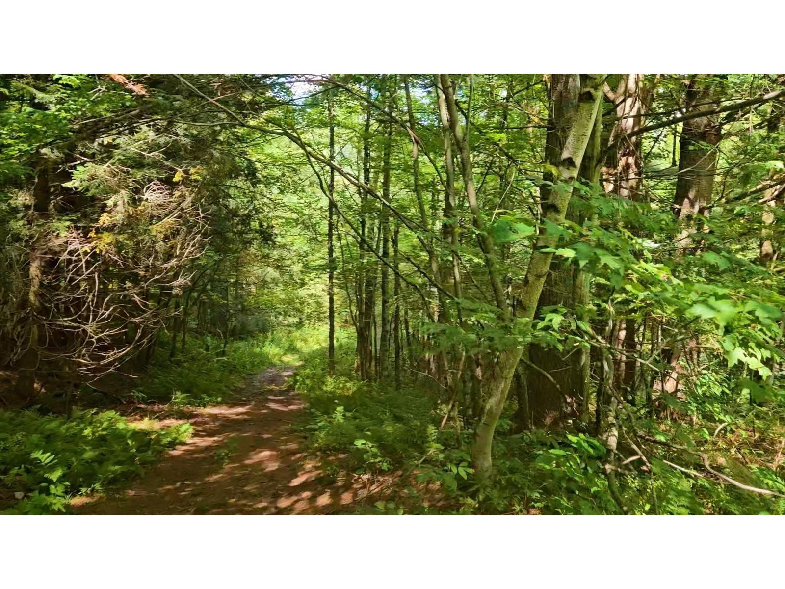 Lot 4 Berry Road