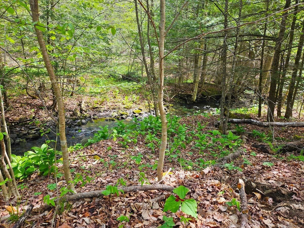 Lot 4 Berry Road