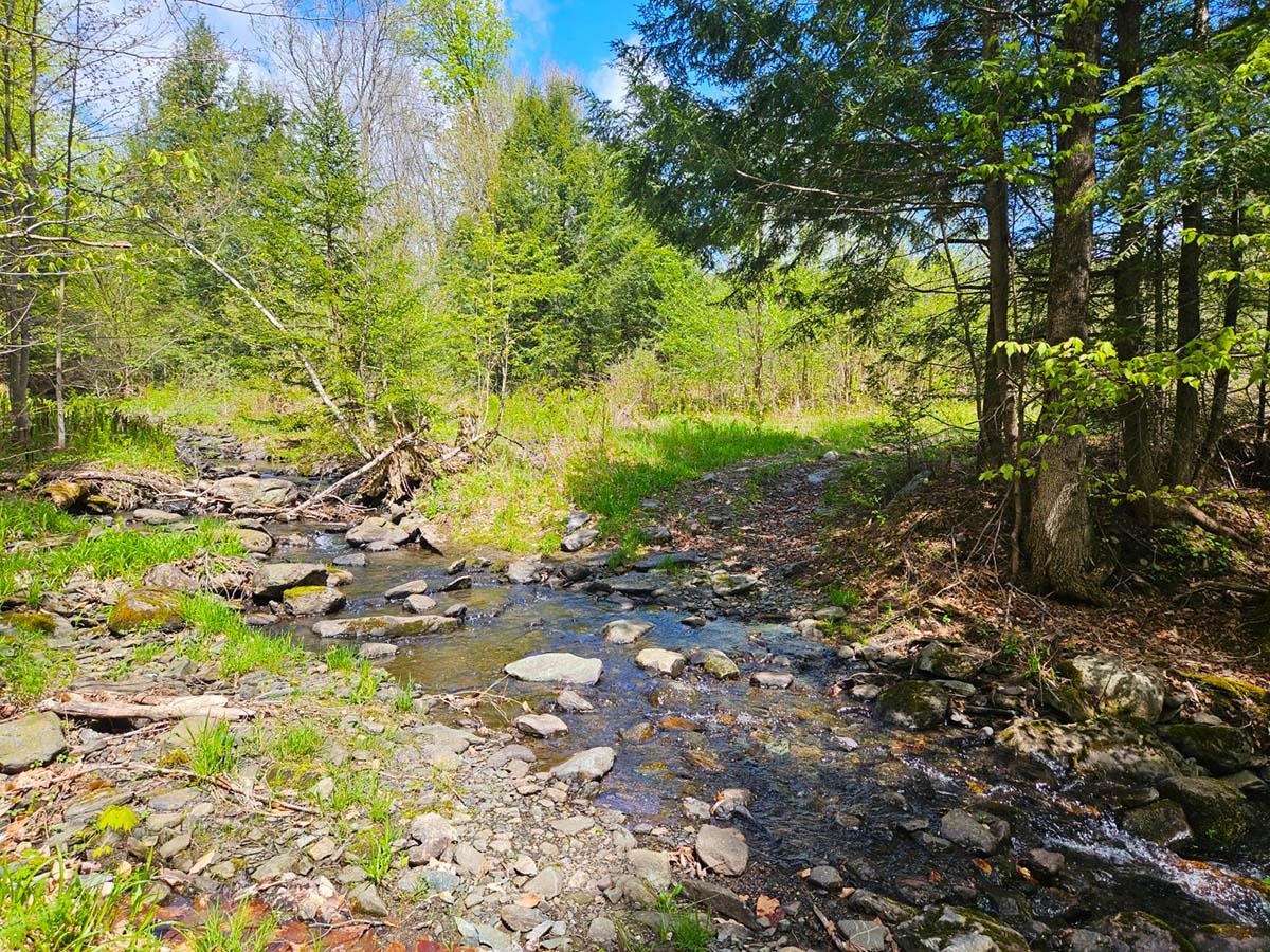 Lot 4 Berry Road