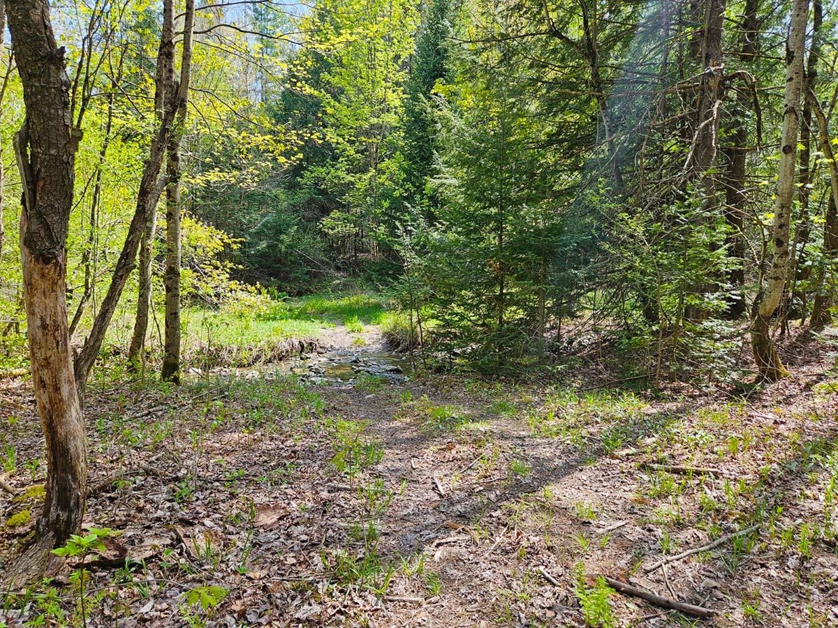 Lot 4 Berry Road