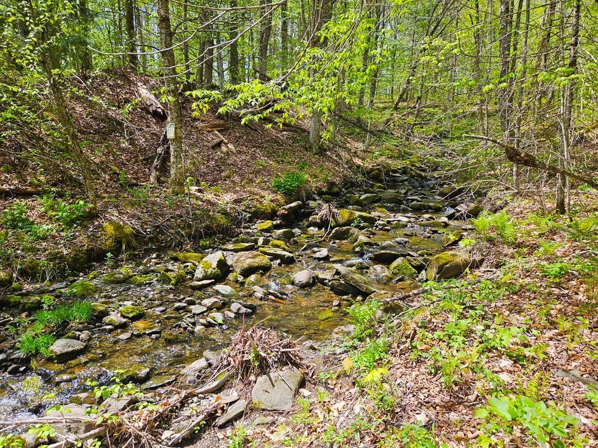 Lot 4 Berry Road