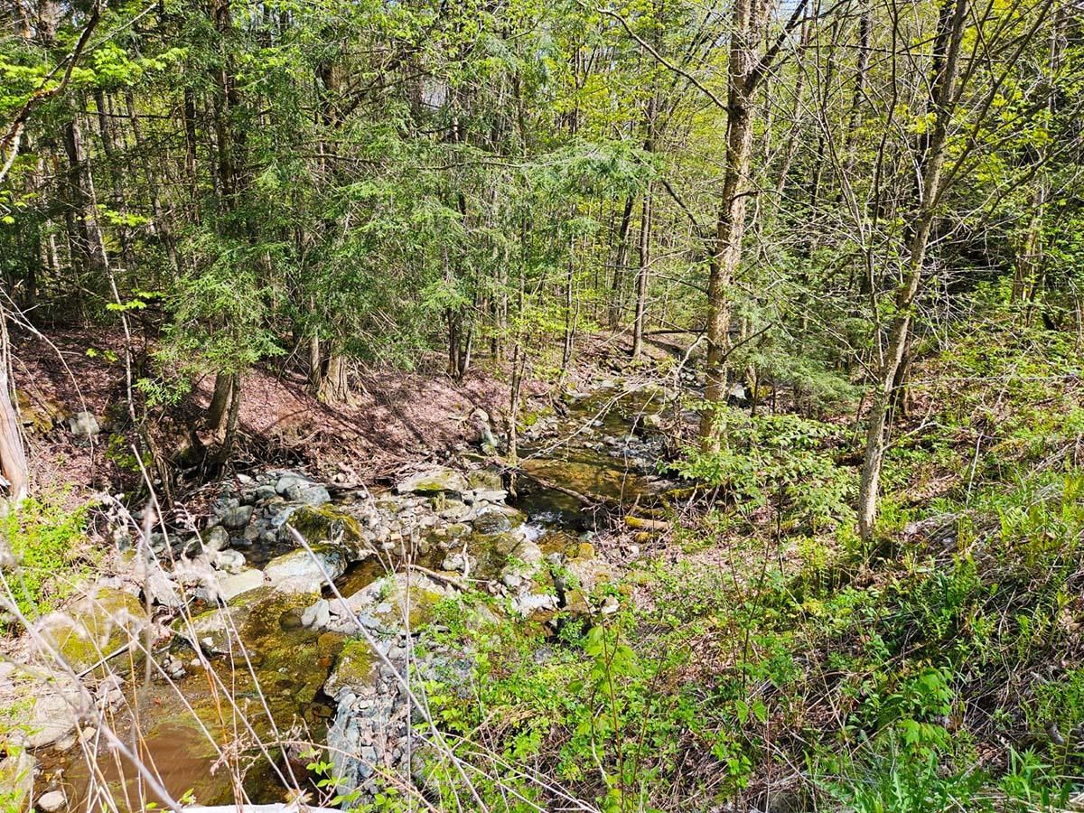 Lot 4 Berry Road