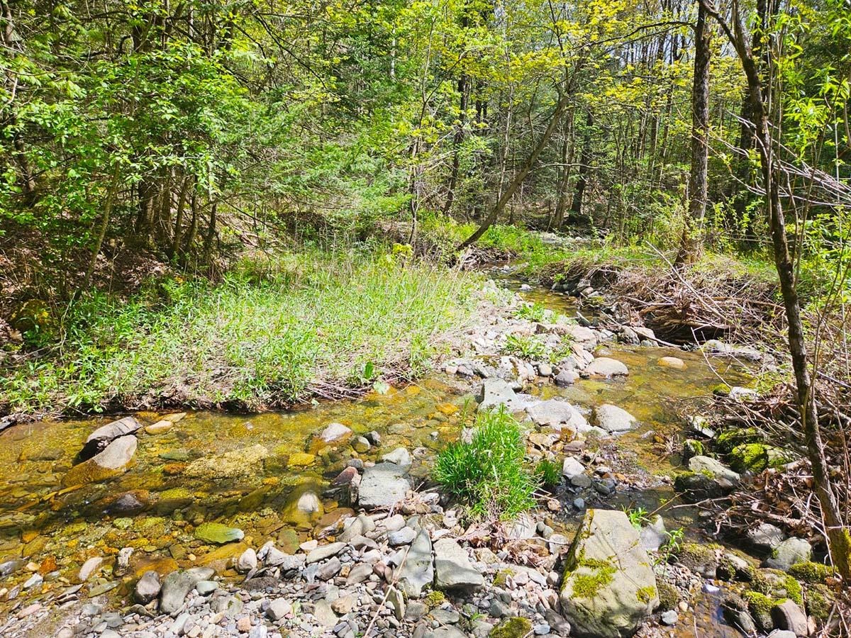Lot 4 Berry Road