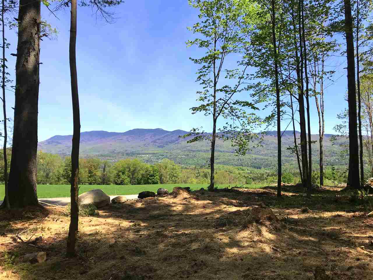 Lot 4 Collina
