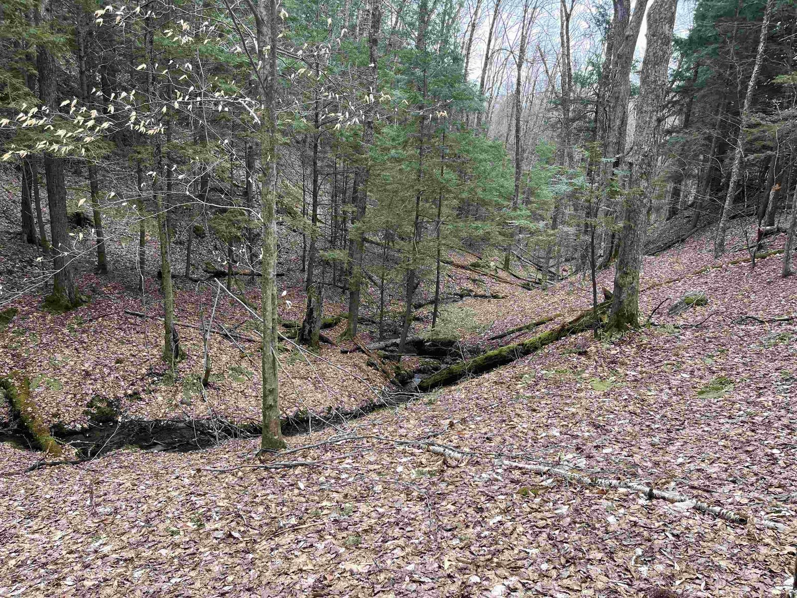 Looking down to stream that borders Lot 4