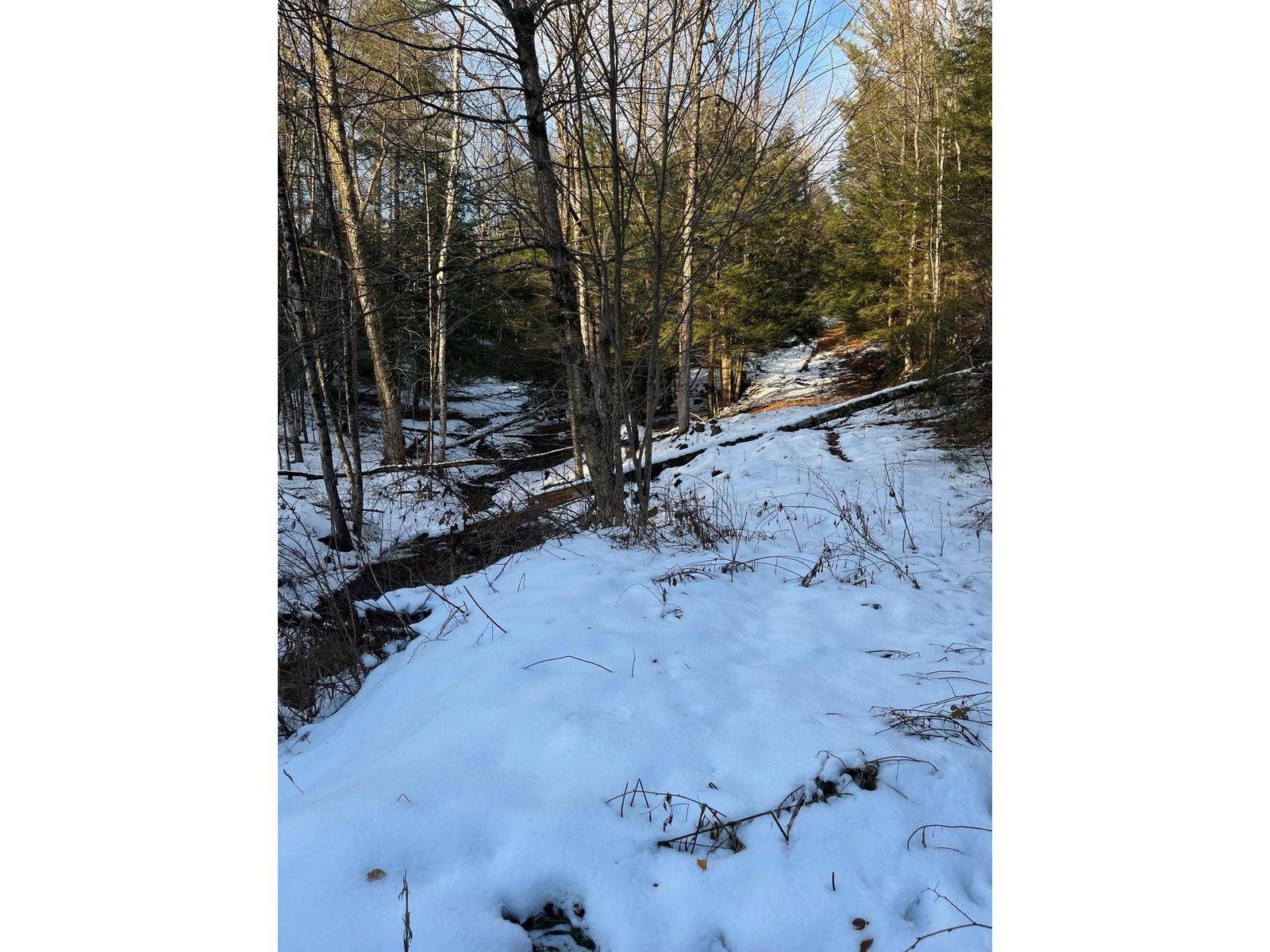Lot 4 Haley Drive